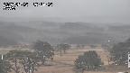 yama-20250404152005.jpg