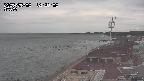 yama-20250502122003.jpg