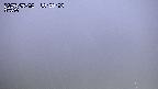 yama-20250502185004.jpg