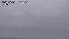 yama-20250504173003.jpg