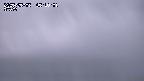 yama-20250505051001.jpg