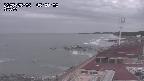 yama-20250506055002.jpg