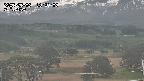 yama-20250506132003.jpg