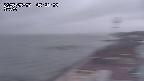 yama-20250507052004.jpg
