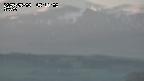 yama-20250508051002.jpg