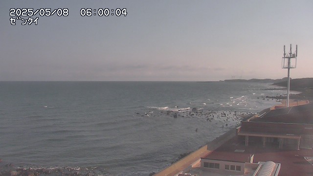 yama-20250508060004.jpg