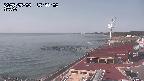 yama-20250508154002.jpg
