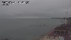 yama-20250510112004.jpg