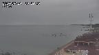 yama-20250510132003.jpg