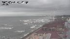 yama-20250512083003.jpg