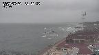 yama-20250520123003.jpg