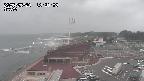 yama-20250520132003.jpg