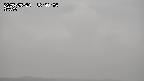 yama-20250520164004.jpg