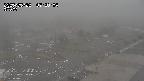 yama-20250522072004.jpg