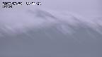 yama-20250523184002.jpg