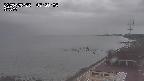yama-20250525073004.jpg