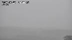 yama-20250525114004.jpg