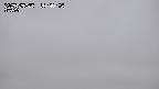yama-20250525144004.jpg