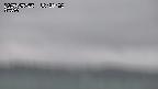yama-20250525162003.jpg