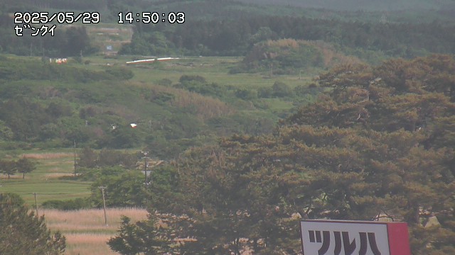 yama-20250529145004.jpg