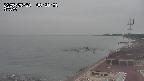 yama-20250530082002.jpg