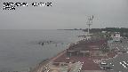 yama-20250530095004.jpg