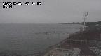 yama-20250531055004.jpg