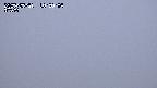 yama-20250531185004.jpg