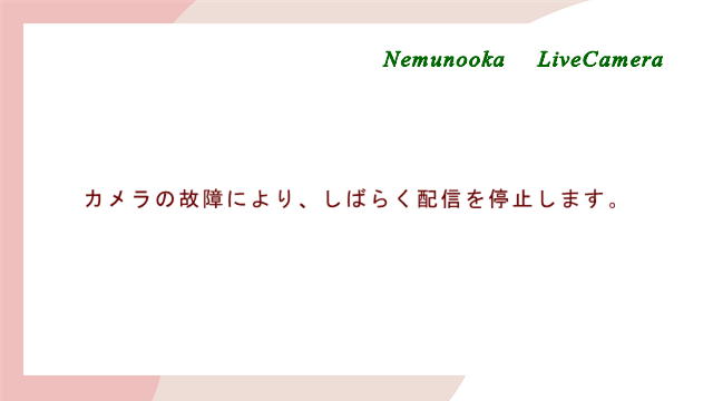にかほ市ライブカメラ
